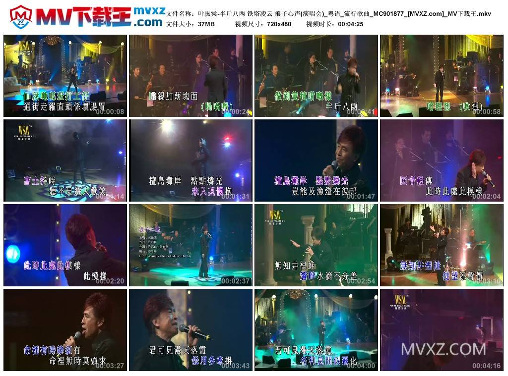 叶振棠-半斤八两 铁塔凌云 浪子心声(演唱会)_粤语_流行歌曲_MC901877